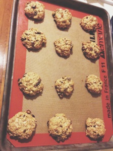 The Oatmeal Raisin Cookies